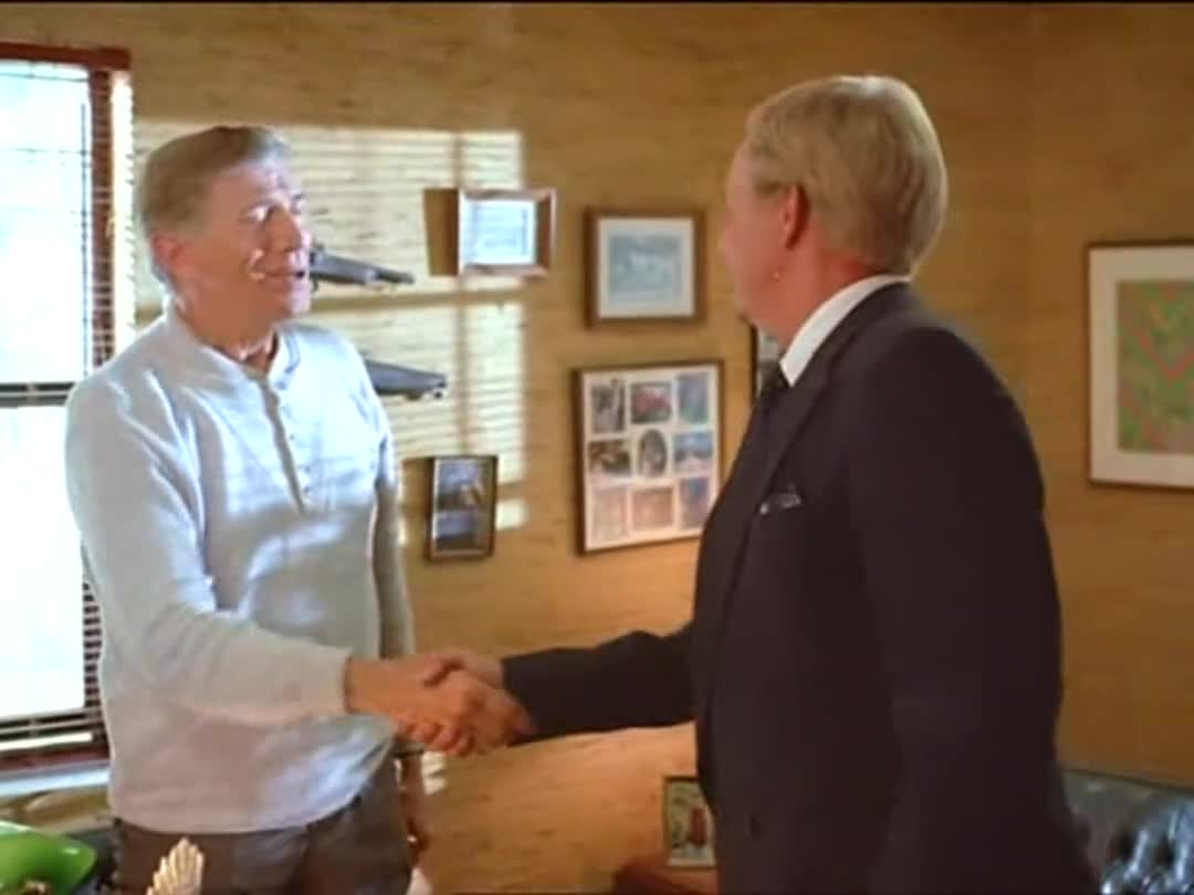 Karate tiger 3 Pokrevní bratři (Loren Avedon,Keith Vitali,Joseph Campanella 1990 Akční Bdrip 1080p ) Cz dabing