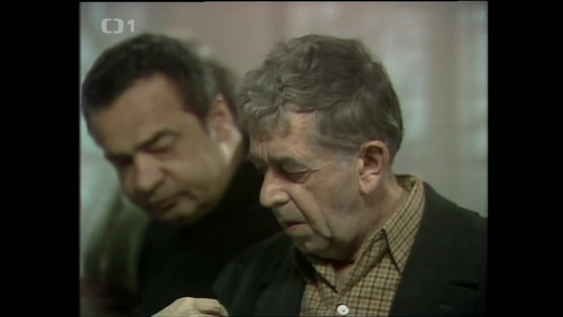 Tažní ptáci (1983) drama