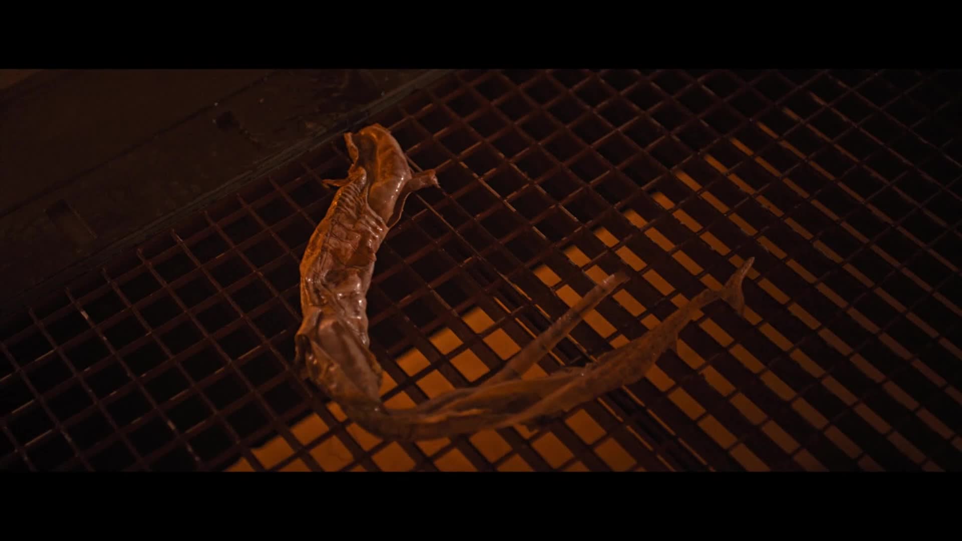 Vetřelec: Romulus 2024 CZ dabing HD