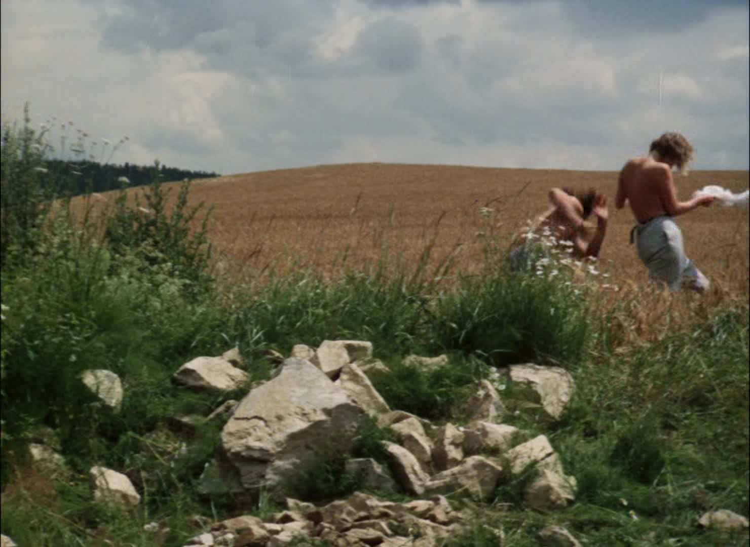 Slunce, seno a pár facek 1989 CZ dabing HD