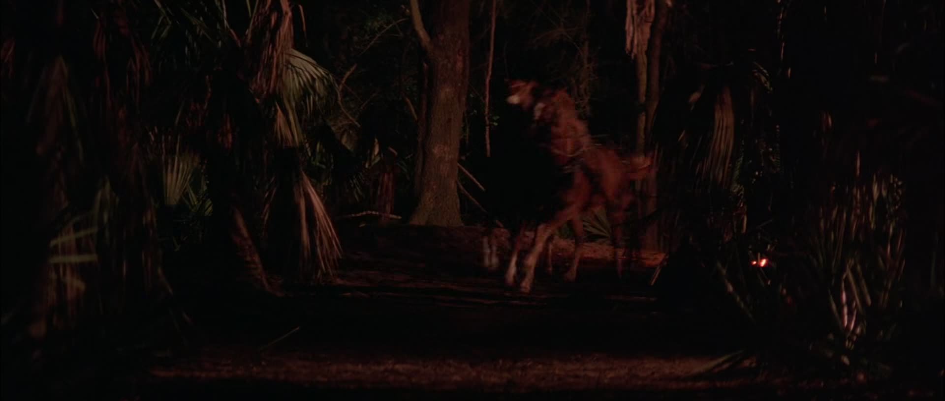 Nová kniha džunglí 1994 CZ dabing HD