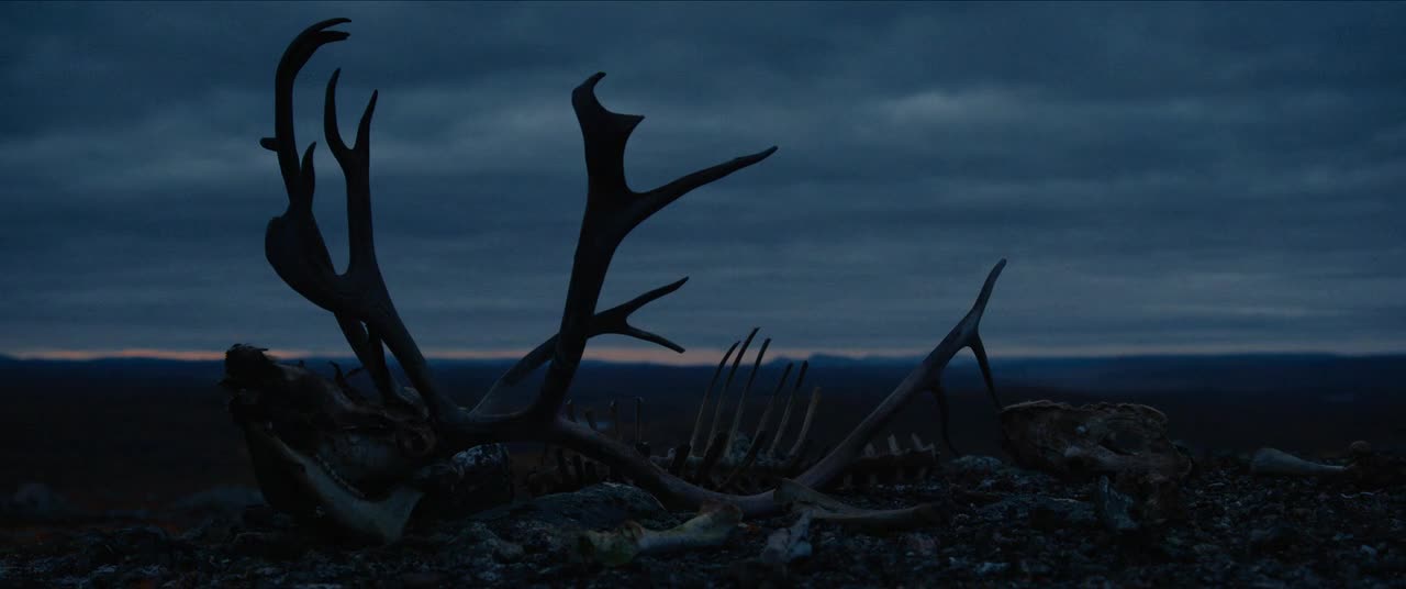 Sisu (2023) drama akcni valecny CZ