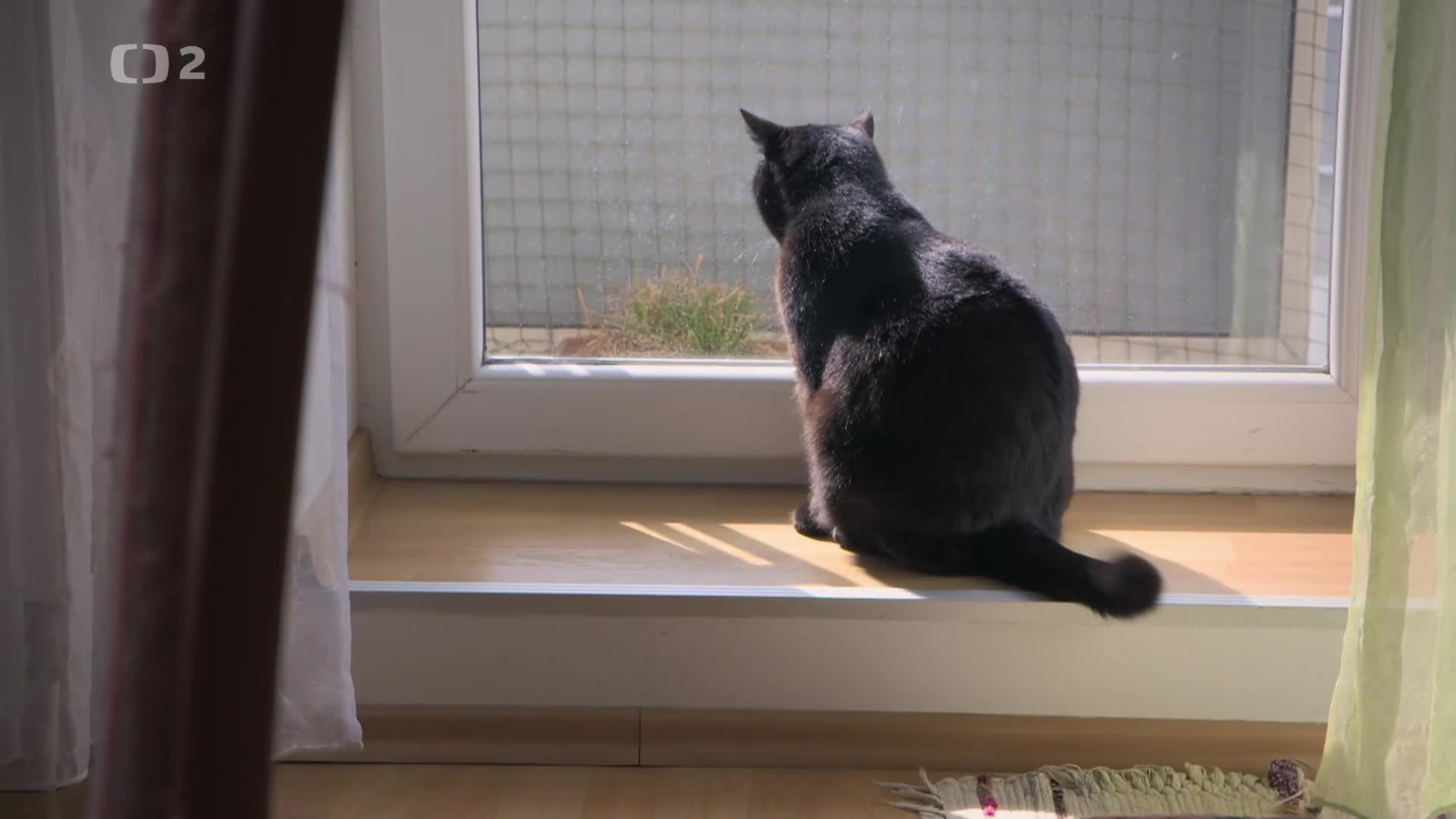 Tělo v mé hlavě 2024 CZ dokument