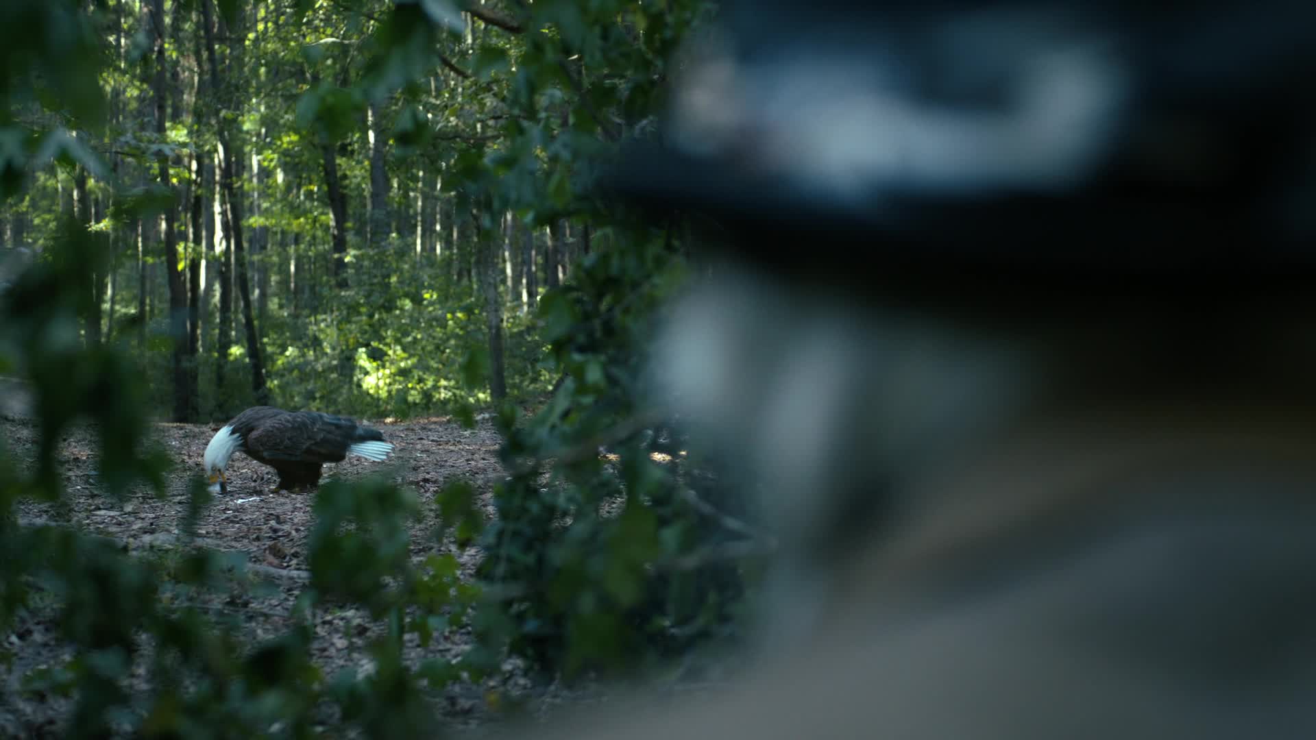 Peacemaker S02E05 2025 CZ dabing HD 1080p