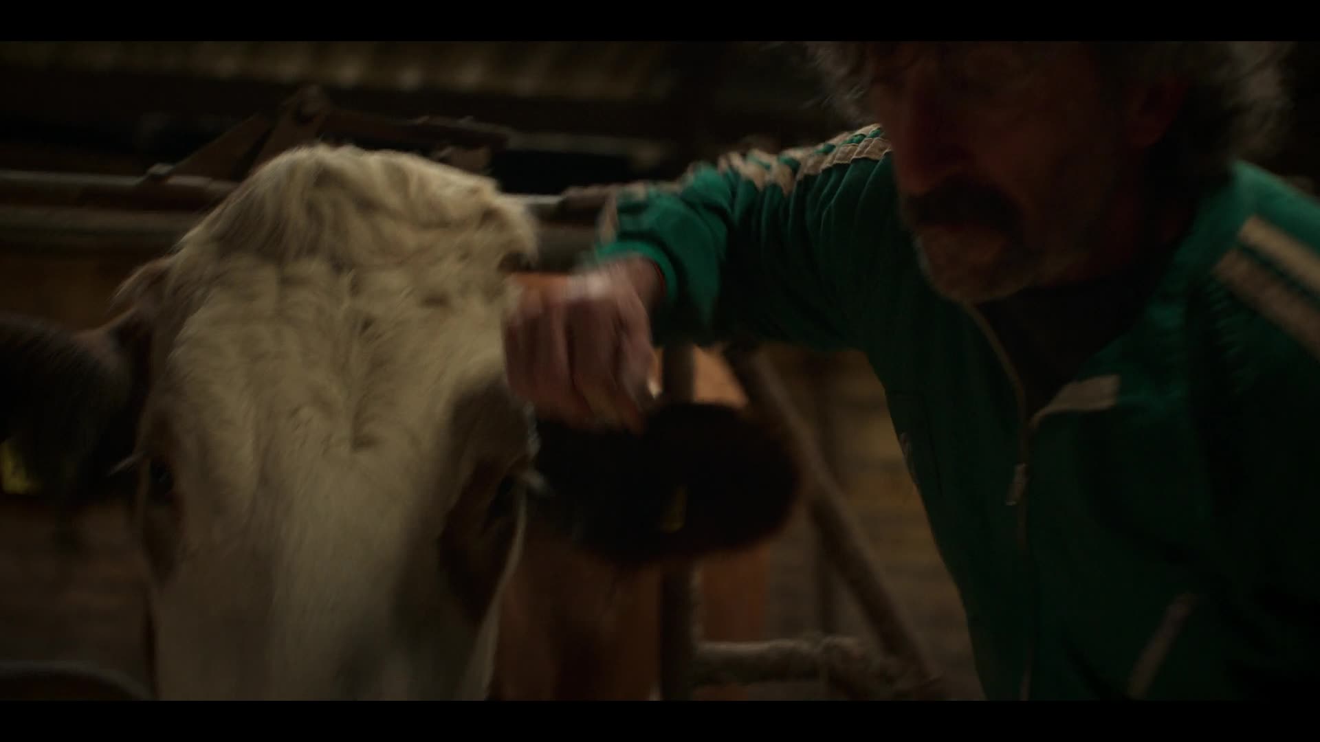 Starý pes, nové kousky S01E08 Niagarský vodopády