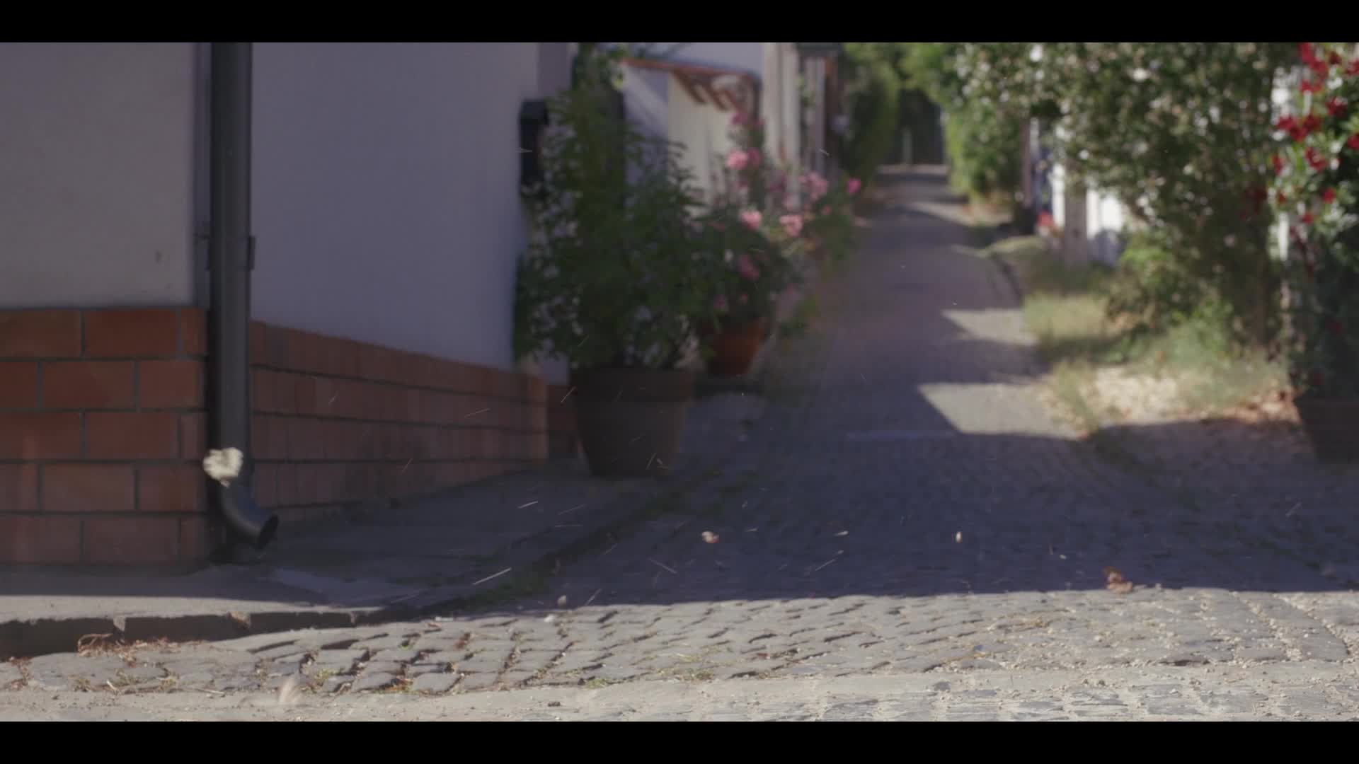 NCIS Námořní vyšetřovací služba Tony a Ziva S01E02 2025 CZ dabing HD