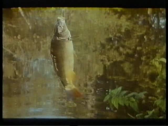 Bazanti Navrat bazantu  komedie   1983   cz dabing