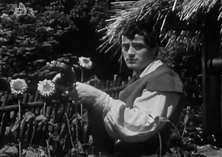 Popelka  CZ dabing  1969