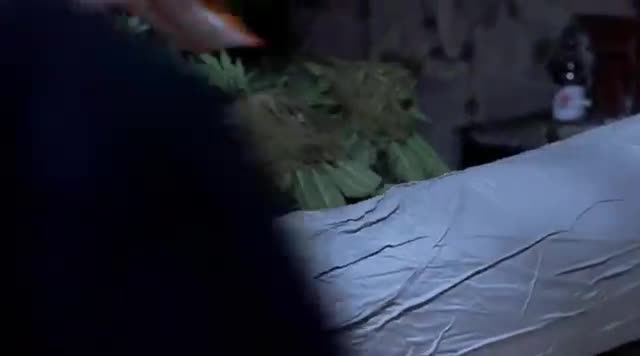 Scary Movie 2 komedie česky