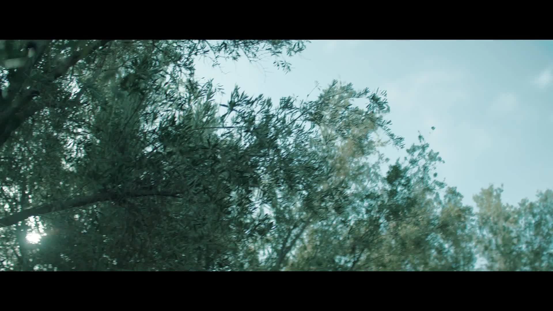 Marie 2024 novinka CZ dabing Full HD 1080p Pucci film