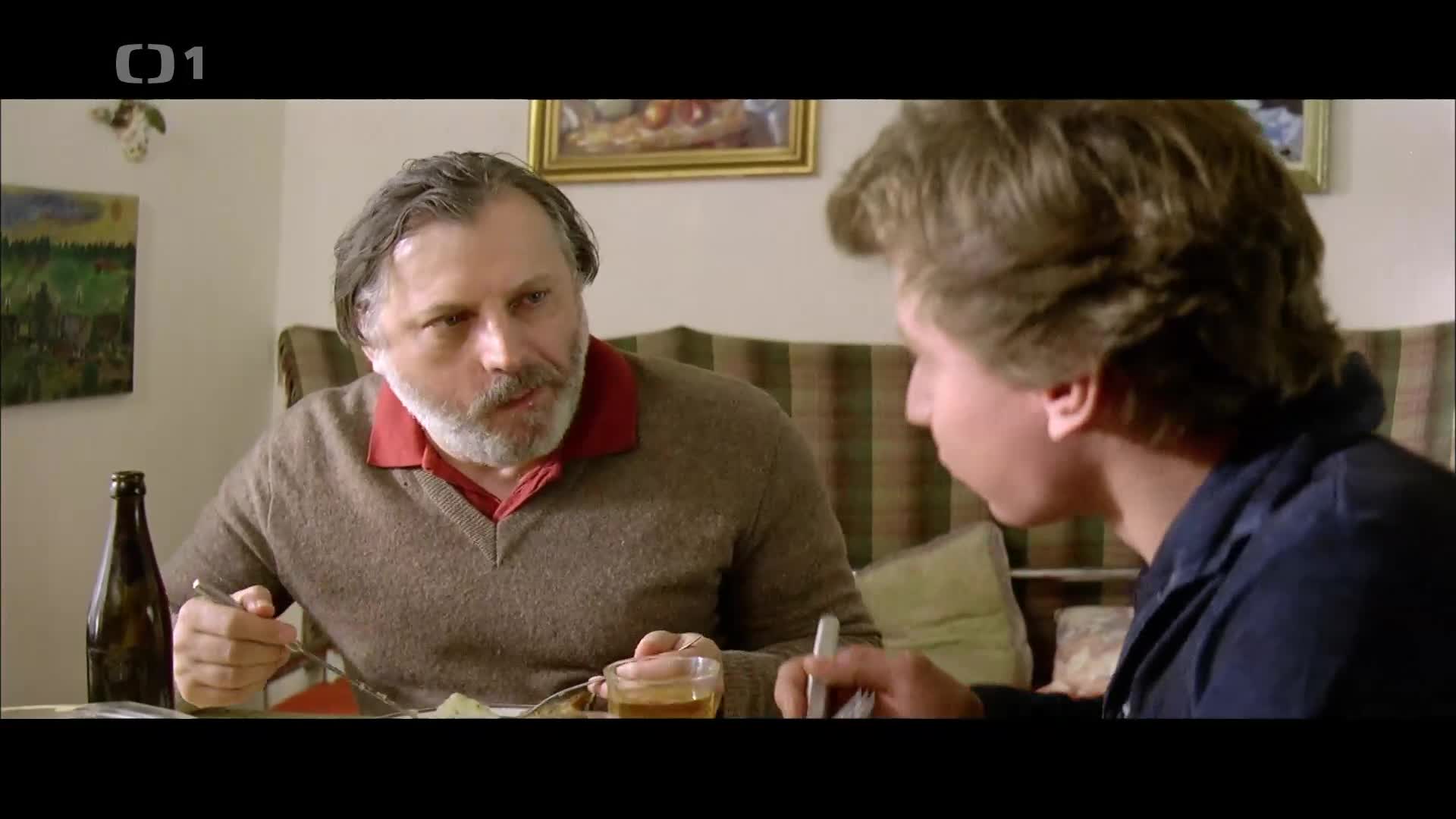 Divoké včely (2001) komedie CZ 1080p