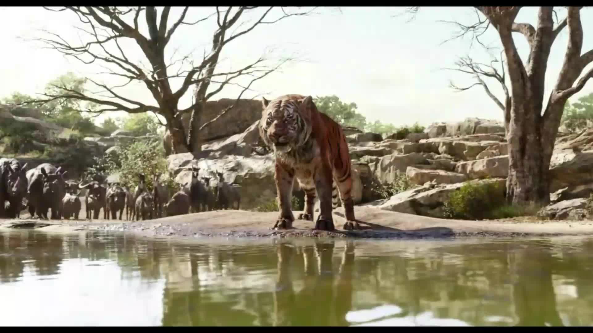 Kniha džunglí (Neel Sethi, Bill Murray, Ben Kingsley, Idris Elba 2016 Dobrodružný Drama Rodinný Fantasy Bdrip 1080p ) Cz dabing