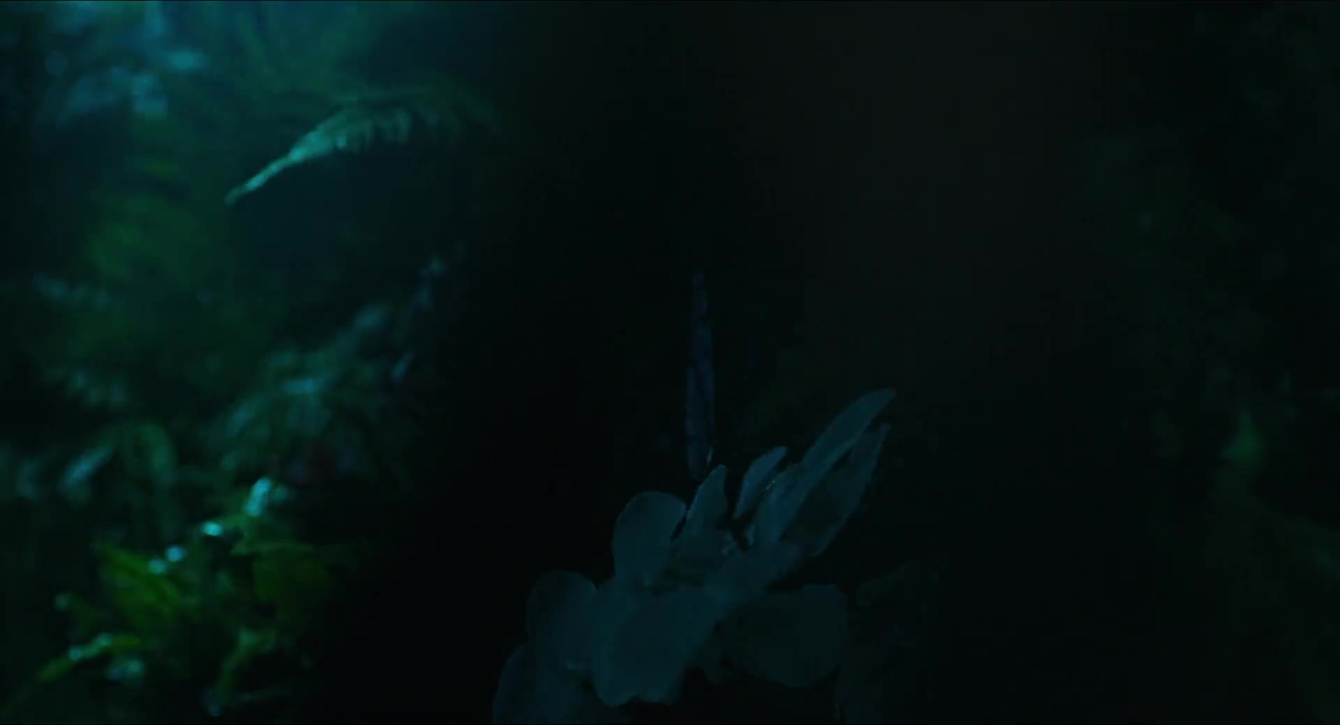 Alenka v říši divů Za zrcadlem 2016 CZ dabing HD 1080p