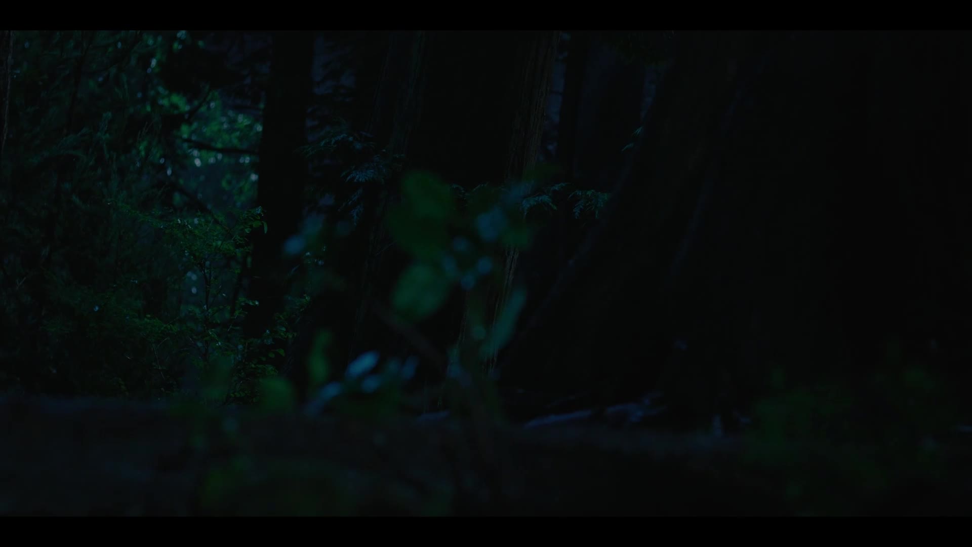 Živel S01E06 {2025} thriller, mysteriózní AAC 5.1 1080p CZ dabing