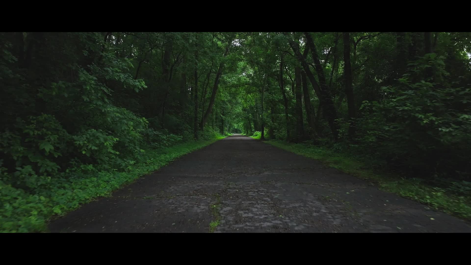 Zmizení z vězení Láska na útěku 2024 CZ dabing HD