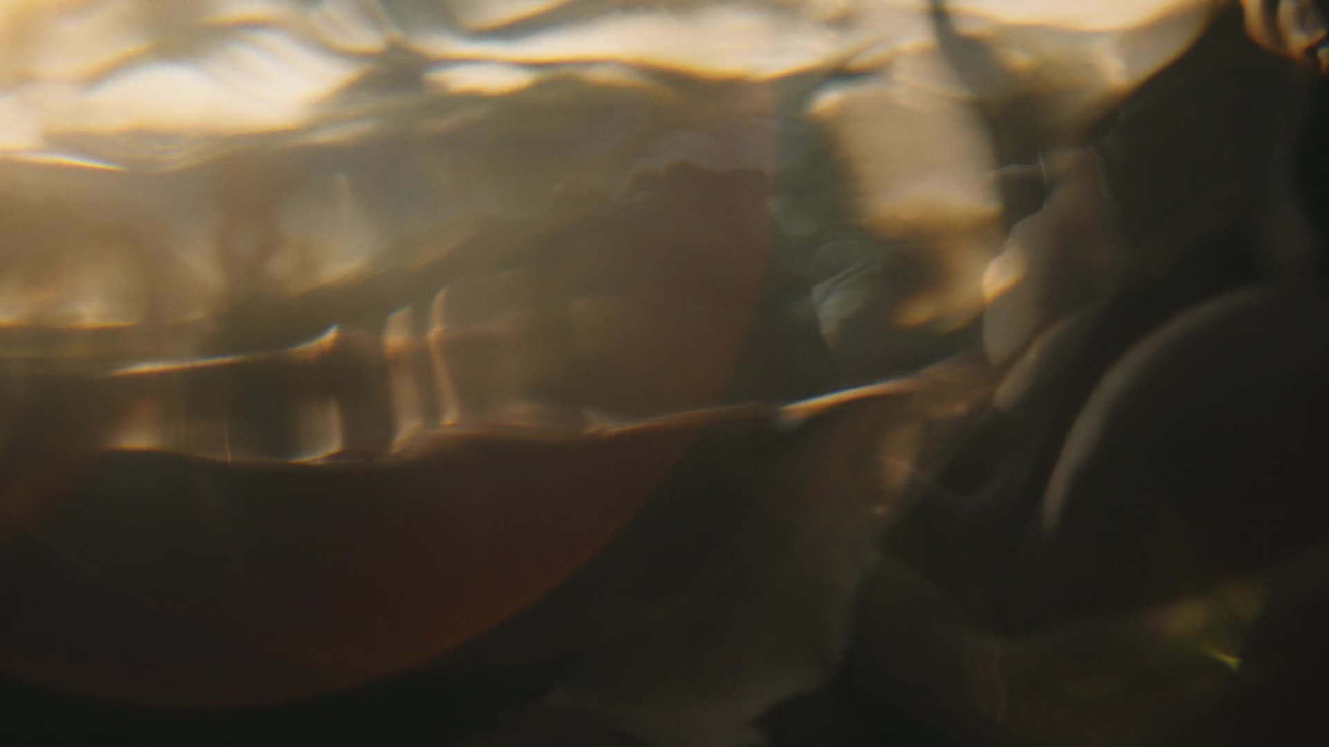 Bílý lotos S03E03 2025 CZ dabing HD