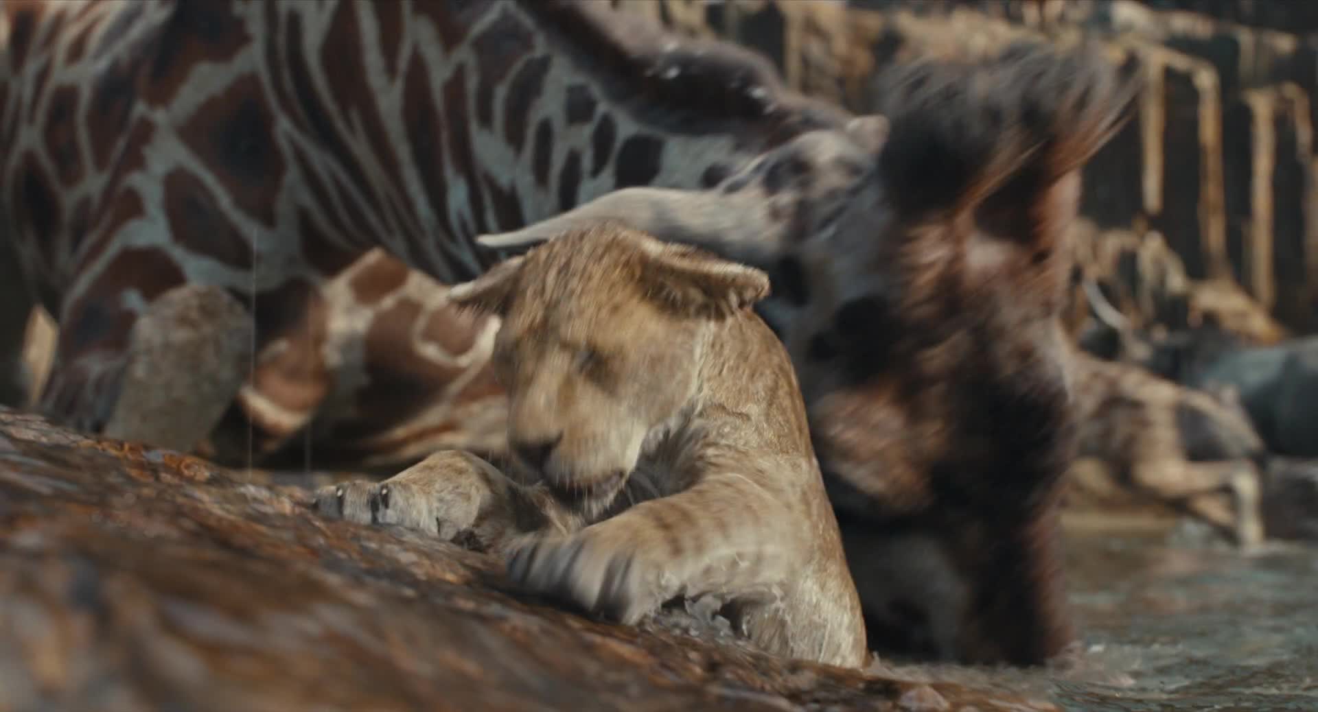 Mufasa: Leví kráľ 2024 SK dabing HD