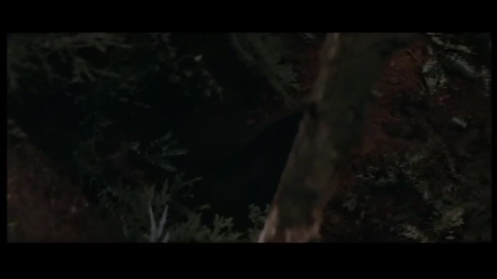 Rambo 1 Prvni krev 1982 CZ dabing